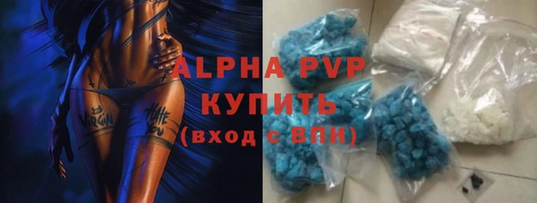 сатива Арсеньев