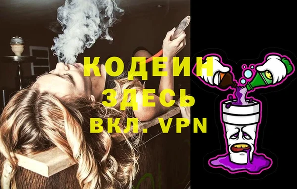 сатива Арсеньев