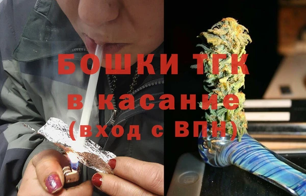 сатива Арсеньев