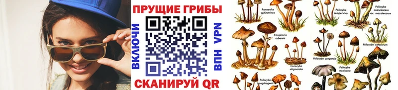 Галлюциногенные грибы ЛСД  Купить  Балабаново 